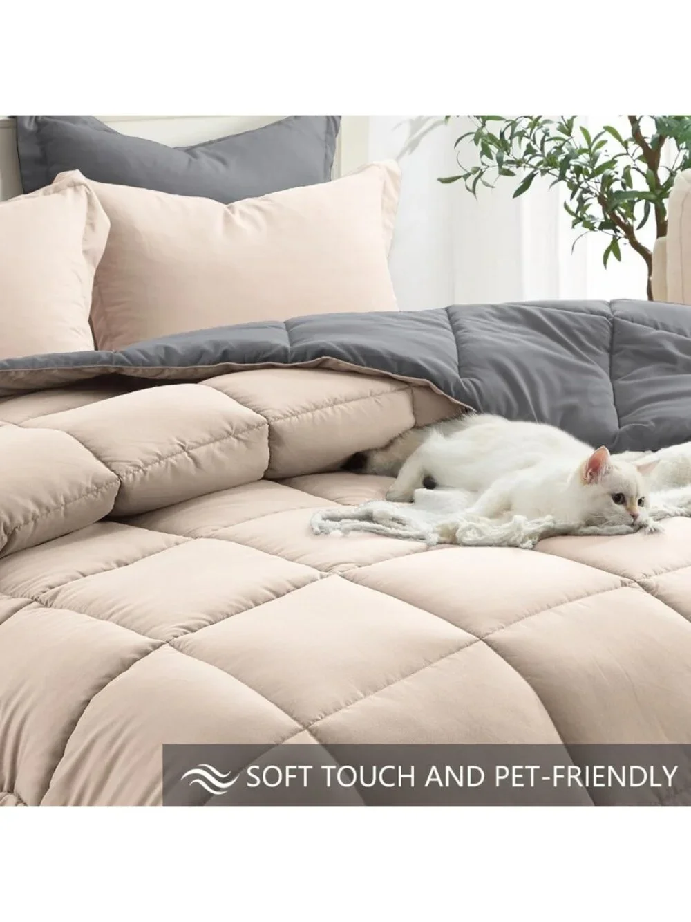 3-Piece Queen Comforter Set - Lightweight, Soft Bedding for Cozy Bedrooms
